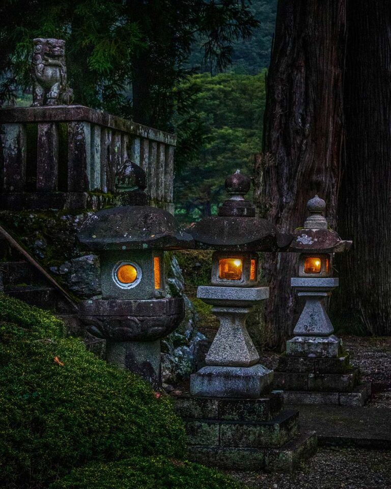 Neighborhood Evening